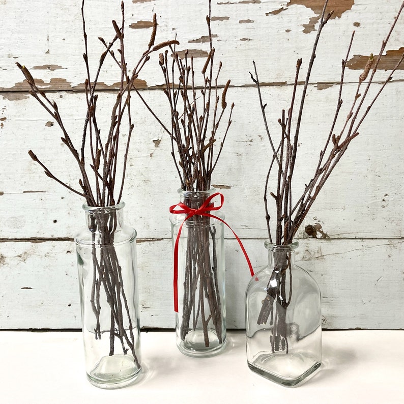 50 Tiny Birch Twigs, 11 Bundle, Floral Branches, Rustic Table Decor, Crafts image 6