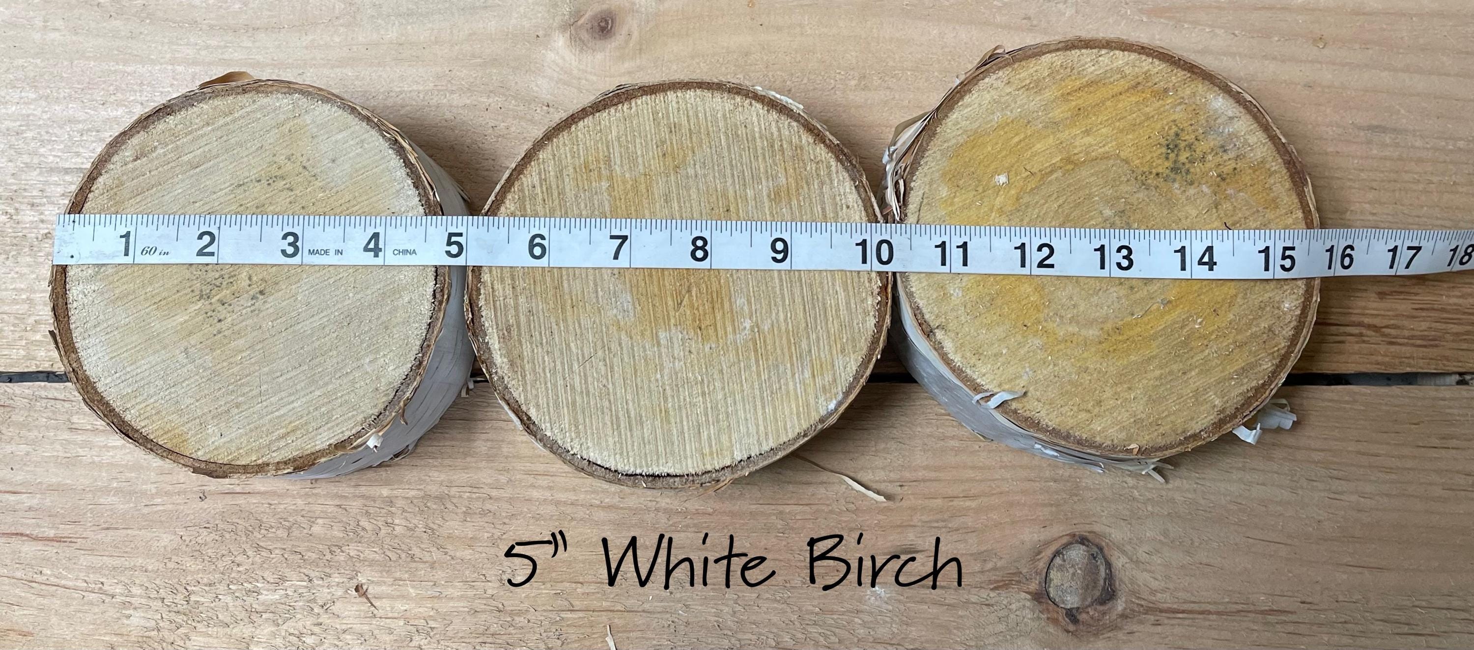 3 Large Rustic Birch Bases, 5