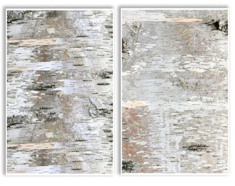 Birch Bark Paper - Etsy