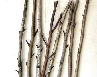 8 Birch Branches, 16" Long, 3/8" - 5/8" Diameter, White Birch Perches, Fiber Arts, Weaving, Macrame, Wall Hangings