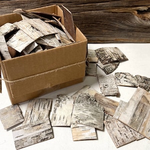 Birch Bark, 90 Small Pieces, 1-2mm Thick, Birch Jewelry, Birch Accents, Natural Craft Supply, Gift for Crafter
