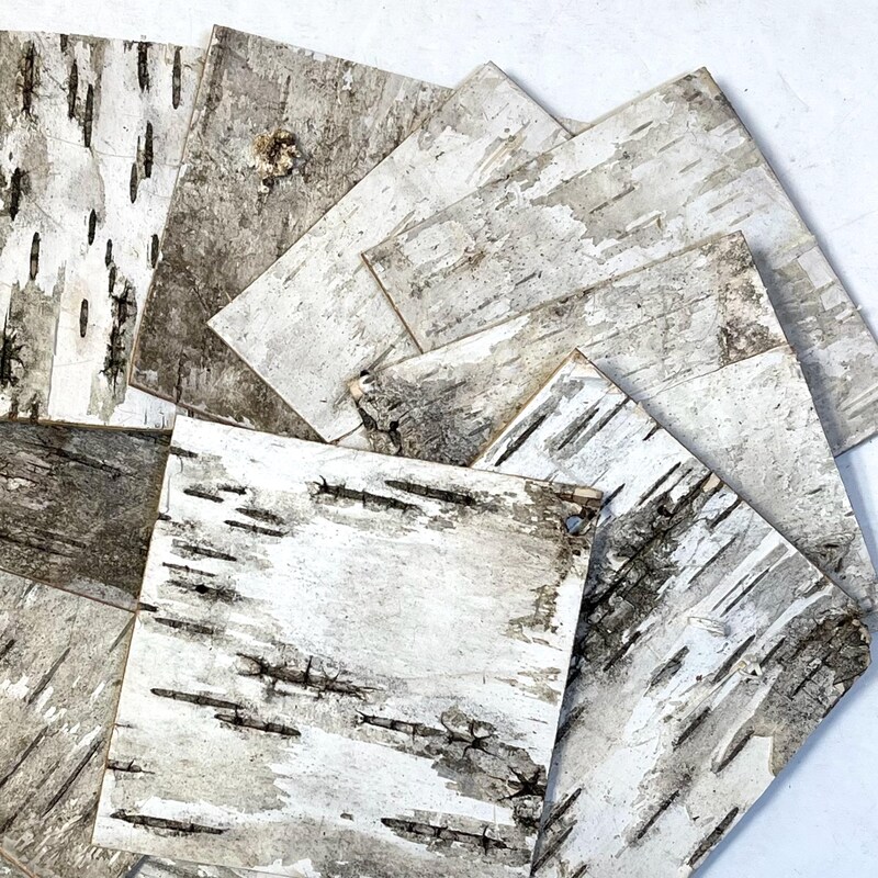 Birch Bark Sheets - Etsy