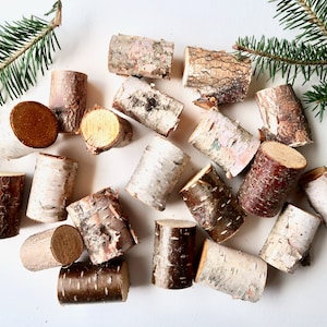 Mini Birch Logs, Mini Stumps for Crafts and Decorating, Quantity Discounts
