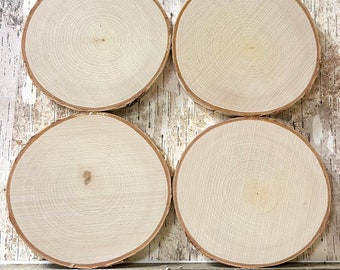 4 White Birch Slices, 5.5"x 1/2", Wood Burning, Multimedia Painting Surface, Large Coasters, Wood Rounds, Birch Discs, #25