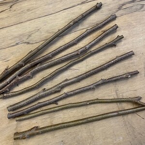 May include: A collection of ten brown twigs, some with a slight curve, arranged on a light brown wooden surface.