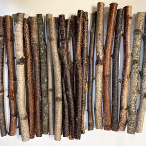 May include: A collection of twenty-one natural wooden sticks arranged vertically in a row. The sticks vary in color from light beige and grey to dark brown, featuring textured bark, small knots, and irregular branch segments of varying thickness.