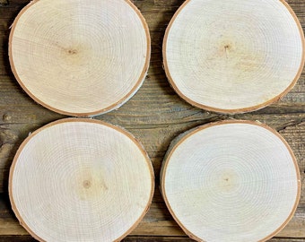 4 White Birch Slices, 6"x 1/2", Wood Burning, Multimedia Painting Surface, Large Coasters, Wood Rounds, Birch Discs, #21