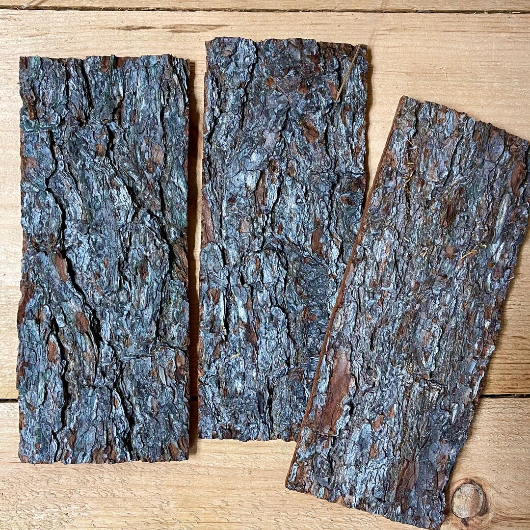 Pine Bark: 4