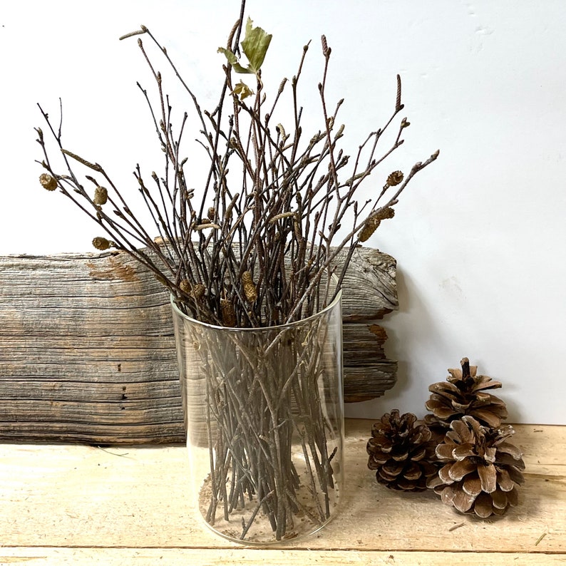 50 Tiny Birch Twigs, 11 Bundle, Floral Branches, Rustic Table Decor, Crafts image 2