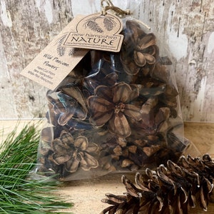 May include: A clear plastic bag filled with brown wild pinecone flowers. The bag has a brown paper tag attached with the text "new hampshire NATURE newhampshirenature.etsy.com" and "Wild Pinecone Flowers Hand Cut From New Hampshire White Pine Pinecones".