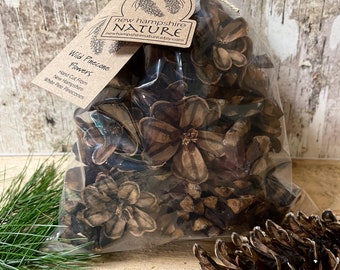 60 Wild Pinecone Flowers, Hand Cut, Untreated, Natural Craft Supply, Made in New Hampshire