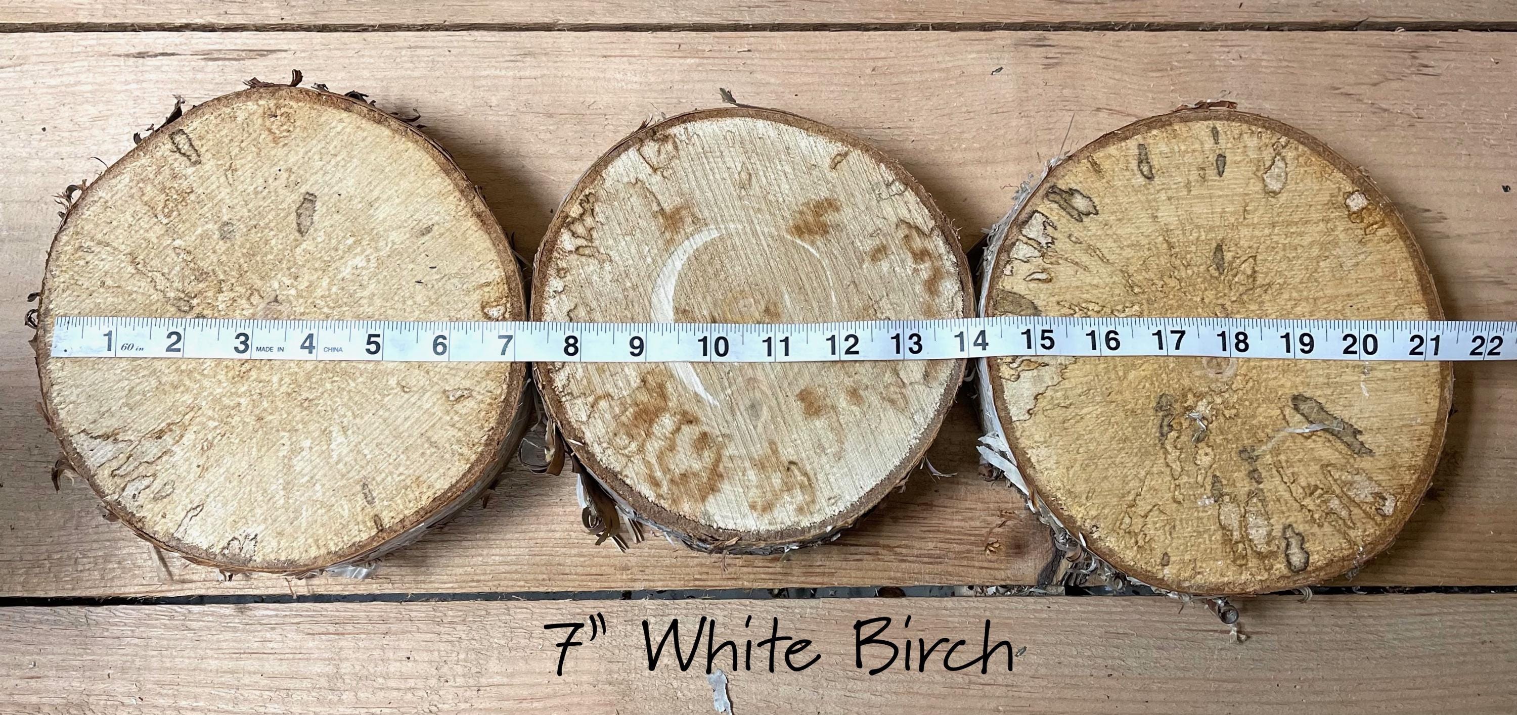 3 Large Rustic Birch Bases, 5