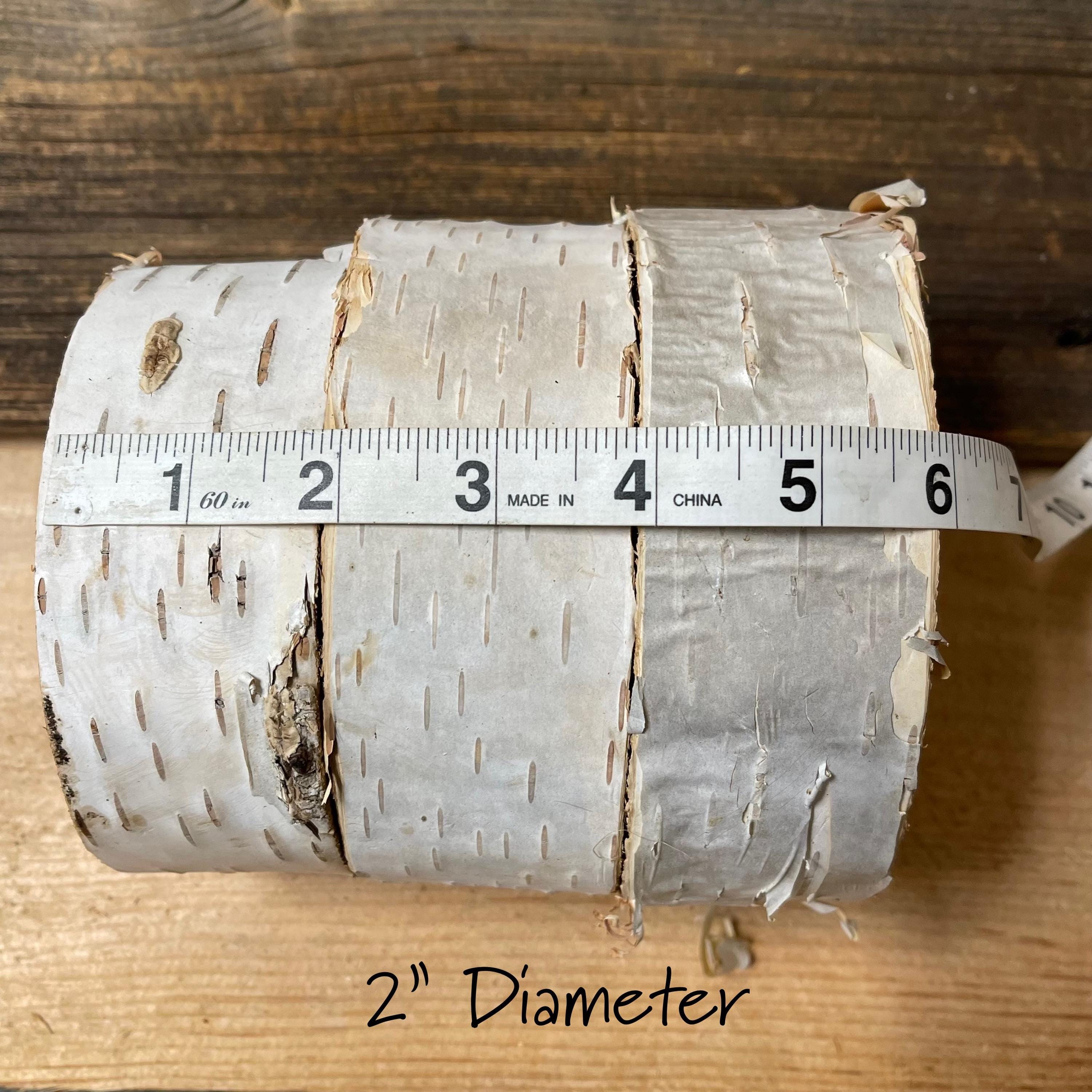 3 Large Rustic Birch Bases, 5