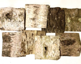 Multicolored Birch Bark, 8 Sheets, 6"x 6", 1mm Thick, Cards, Collage, Natural Craft Supply, Gift for Crafter, #319