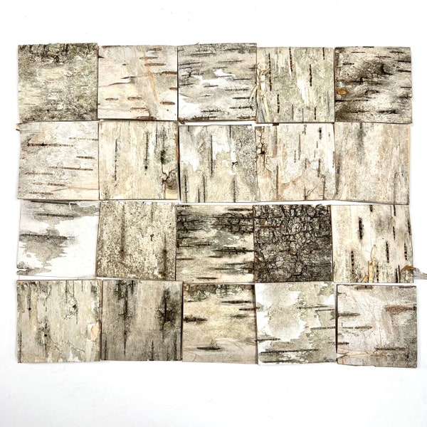 20 Birch Bark Squares, 2" Card Making, Collage, Fairy House, Natural Craft Supply, #2403