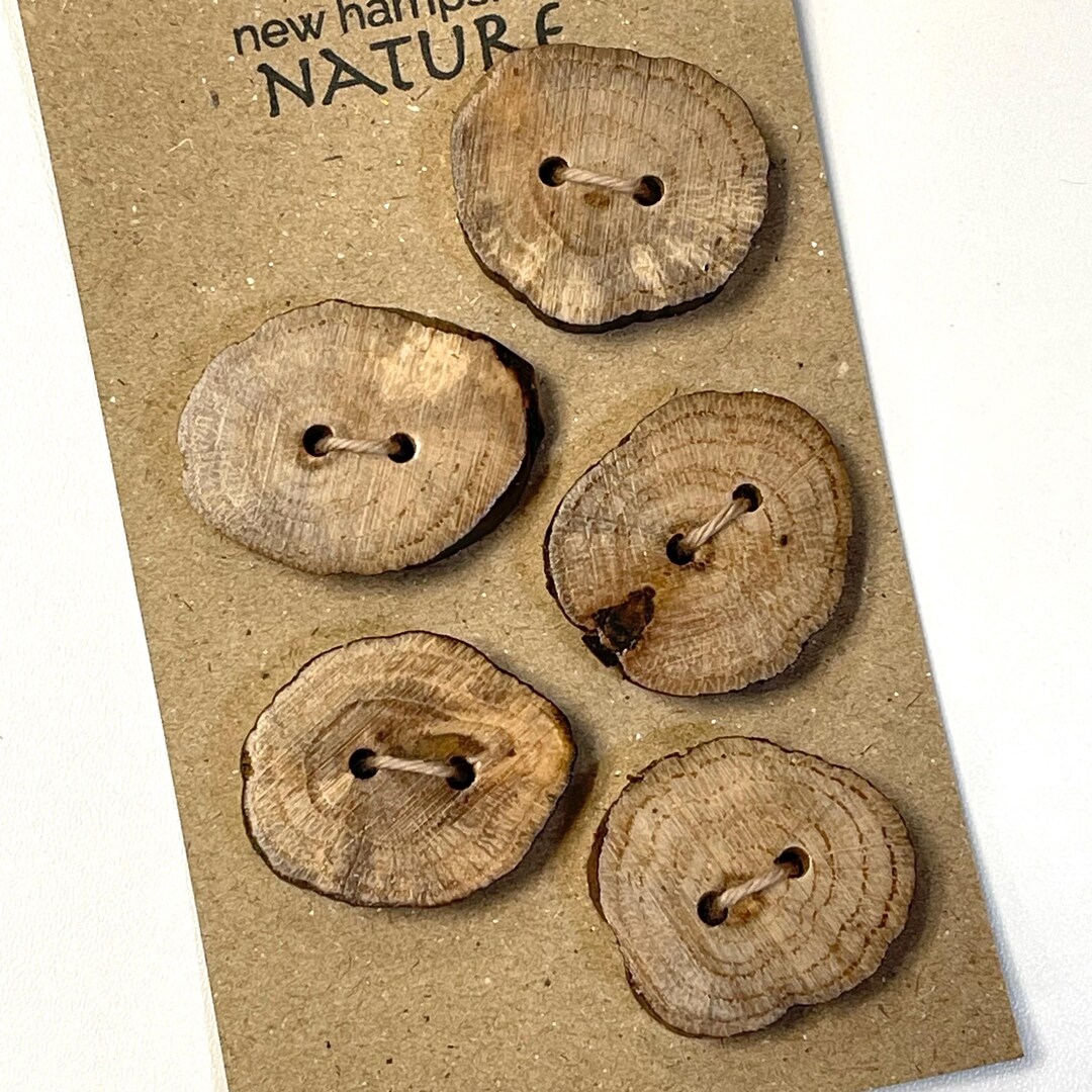 5 Beaver Stick Buttons, 1 1/8