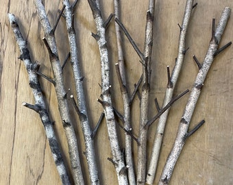 8 White Birch Branches, 20" Long, 1/2" - 1" Diameter, Birch Crafts, Perches, Fiber Arts, Weaving, Macrame, Wall Hangings