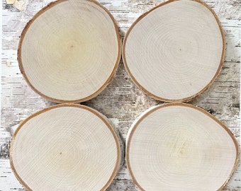 4 White Birch Slices, 5"x 1/2", Wood Burning, Multimedia Painting Surface, Large Coasters, Wood Rounds, Birch Discs, #23