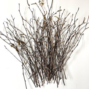 50 Tiny Birch Twigs, 11 Bundle, Floral Branches, Rustic Table Decor, Crafts image 3