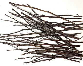 Birch Sticks, 35+, Thin Sticks, Length 9"- 18", Thickness 1/8" -1/4", Crafts, Diorama Supplies, Woodland Decor, #338