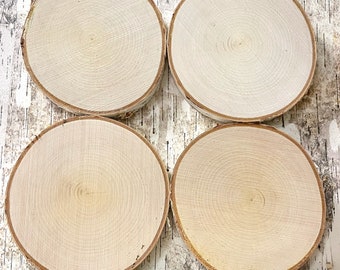 4 White Birch Slices, 5.5"x 1/2", Wood Burning, Multimedia Painting Surface, Large Coasters, Wood Rounds, Birch Discs, #27