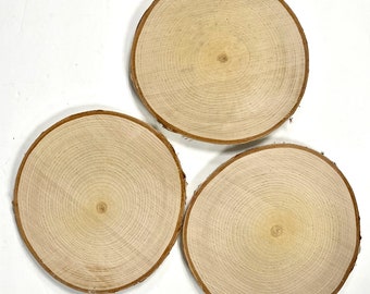 3 White Birch Slices, 6"x 1/2", Wood Burning, Multimedia Painting Surface, Large Coasters, Wood Rounds, Birch Discs, #18