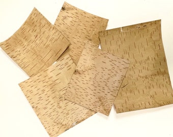 Birch Bark, 5 Sheets, 6"x 6" to 7"x 10", Writing, Hand Cutting, Die Cutting, Scrapbooking, Collage, Card Making, #277