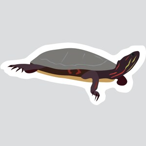 Autocollant/Sticker animaux du Québec - Tortue peinte