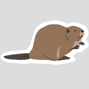 Autocollant/Sticker animaux du Québec - Castor