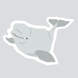 Autocollant/Sticker animaux du Québec - Béluga