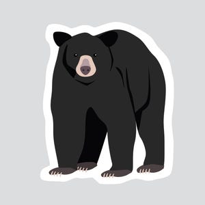 Autocollant/Sticker animaux du Québec - Ours noir