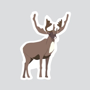 Autocollant/Sticker animaux du Québec - Caribou