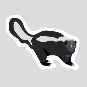 Autocollant/Sticker animaux du Québec - Moufette