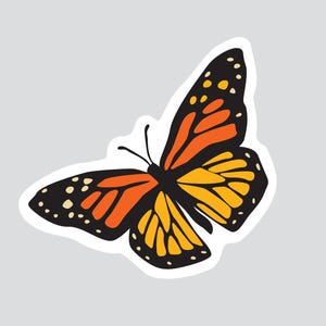 Autocollant/Sticker animaux du Québec - Monarque