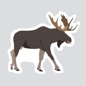 Autocollant/Sticker animaux du Québec - Orignal