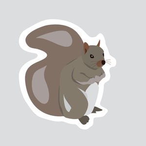 Autocollant/Sticker animaux du Québec - Ecureuil gris