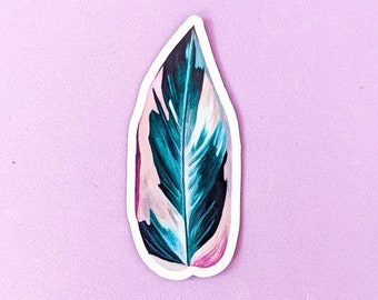 Magnet: Triostar Stromanthe / Magnet / Kitchen Decor / Plant Decor / Plant Magnet / Leaf Art / Wall Art / Triostar / Triostar Magnet