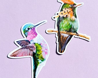 Colourful Bird Magnet Set / Tropical Birds / Hummingbird / Bird Decor