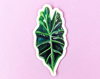 Magnet: Alocasia Polly / Magnets / Rare Plants / Plant Art / Plant Magnet  / Alocasia Magnet / Alocasia Polly Art / Alocasia Art / Alocasia