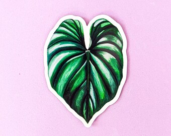 Magnet: Philodendron Plowmanii / Magnets / Leaf Magnets / Philodendron / Plant Art