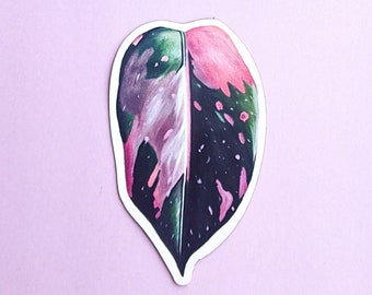 Magnet: Pink Princess Philodendron / Plant Magnets / Philodendron / Philo Pink / Pink Princess Magnet / Leaf Magnet / Pink Princess Art