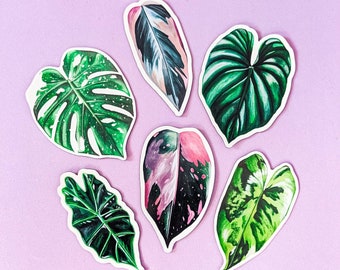 The Complete Leaf Magnet Set / Plant Magnets / Monstera Magnet / Burle Marx / Pink Princess Magnet / Triostar / Triostar Art / Philodendron