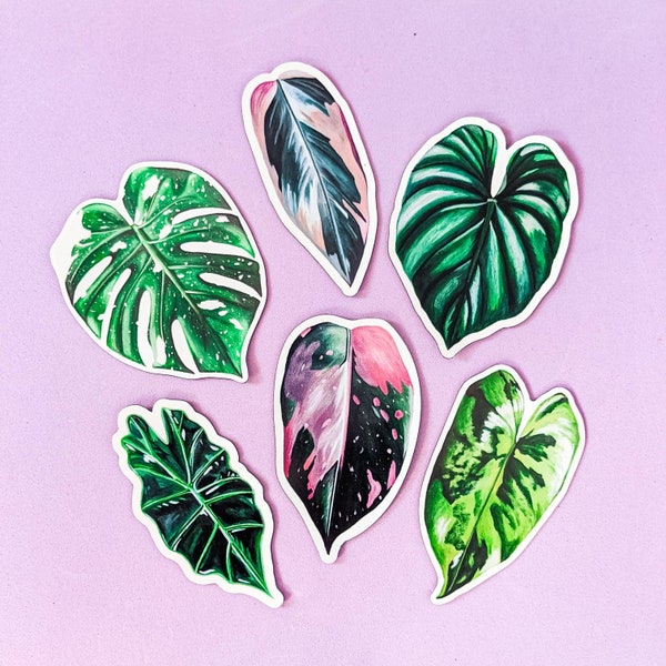 L'ensemble complet d'aimants feuille / Aimants plantes / Aimant Monstera / Burle Marx / Aimant princesse rose / Triostar / Triostar Art / Philodendron