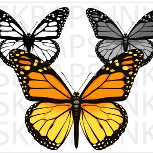 Monarch Butterfly SVG | PNG | AI Instant Download Files
