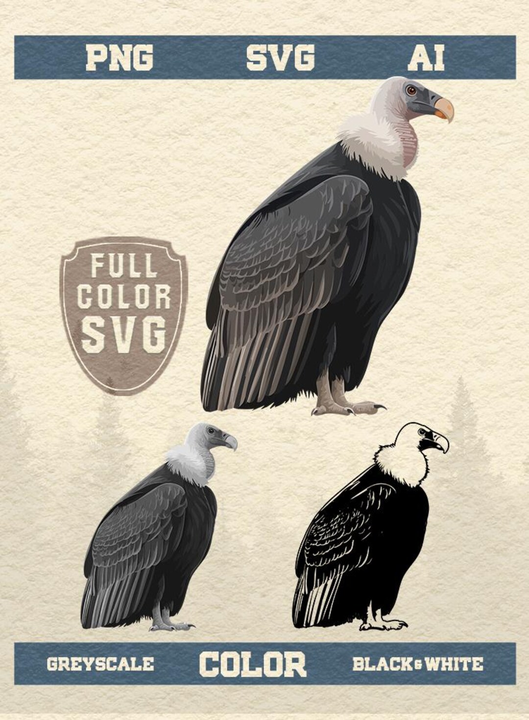 Full Color Condor SVG | PNG | Illustrator | Instant Download - Etsy