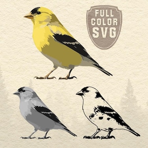 May include: A digital illustration set featuring three goldfinch designs: one in full yellow and black colour, one in greyscale, and one in black and white line art. The text PNG, SVG, AI, FULL COLOR SVG, GREYSCALE, COLOUR, and BLACK & WHITE is included.
