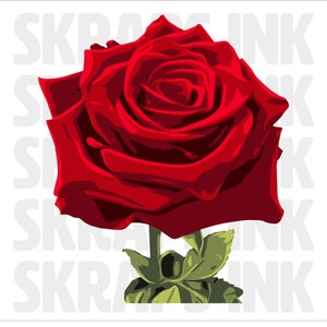 Red Rose SVG | PNG | AI Digital Download