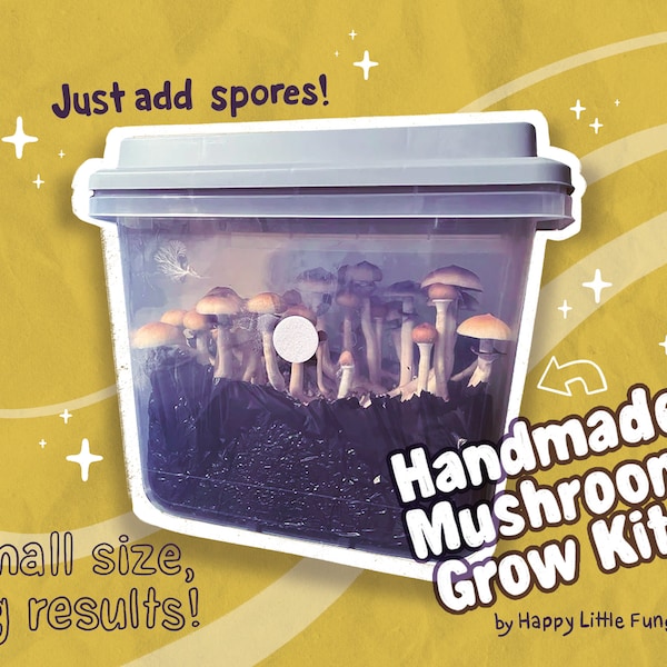 Magic Mushroom Grow Kit Etsy