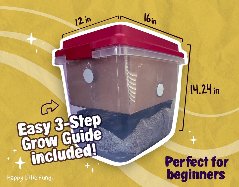 Reusable Mushroom Grow Kit for Beginners Etsy