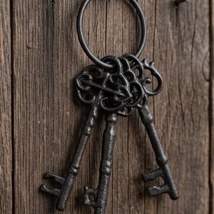 Op de afbeelding: Een set van drie donkere, getextureerde skelet-sleutels bevestigd aan een ronde metalen ring. Elke sleutel heeft een sierlijk, ingewikkeld ontwerp aan de bovenkant en een ingekerfd uiteinde aan de onderkant. De sleutels hangen aan een spijker.
